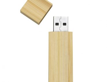 Pen Drive 4GB Bambu – SF011